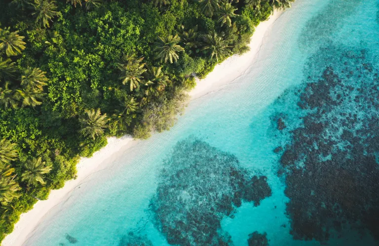 Discover all islands