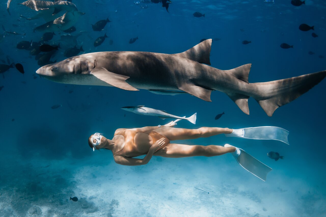 A woman snorkeling underwater peacefully in the ocean while a large nurse shark swims gracefully above her.