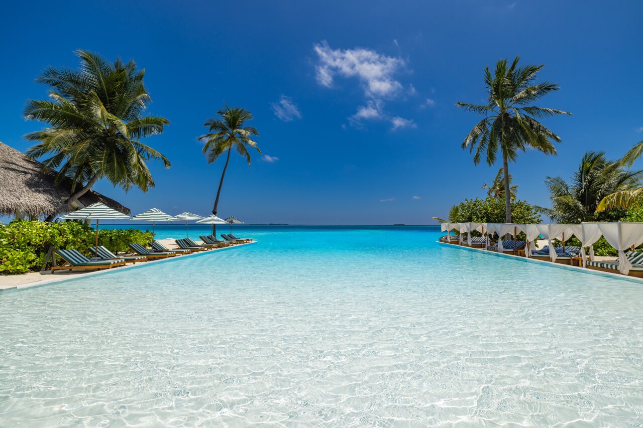 A stunning infinity pool overlooking the turquoise ocean with sun loungers and palm trees under a clear blue sky.