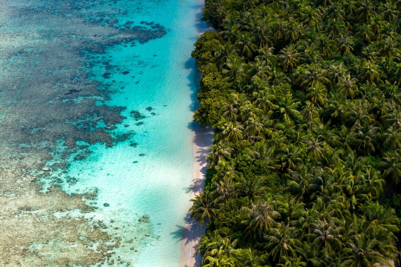 Aerial view of Dhigurah island coastline in South Ari Atoll with lush tropical palm trees and vibrant turquoise reef
