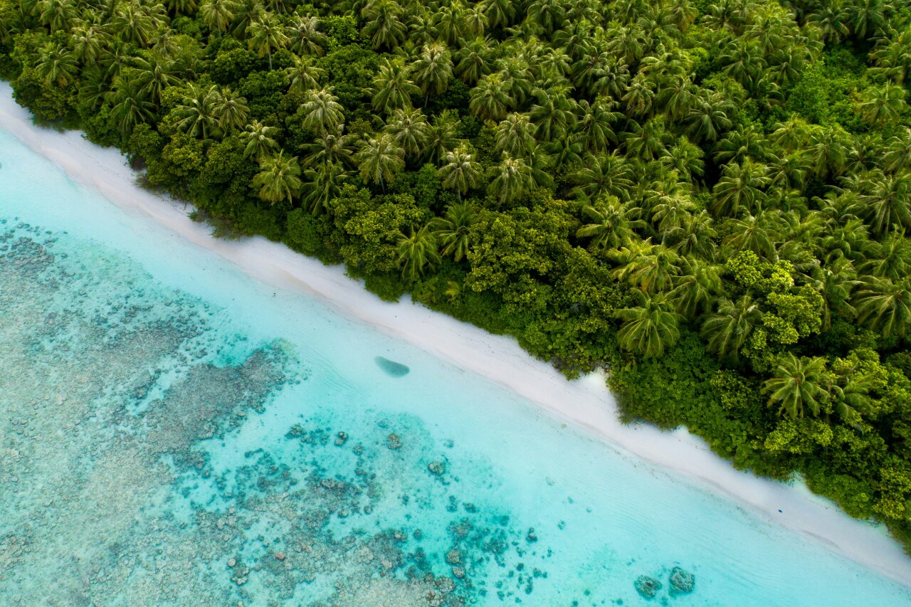 Drone aerial view of the turquoise reef and white sand beach of Dhigurah island surrounded by lush palm trees.