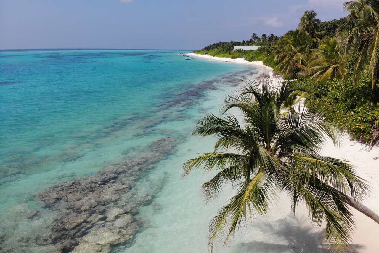 Prospettiva aerea della costa turchese e delle palme rigogliose della Bikini Beach di Thoddoo, atollo di Alifu Alifu, Maldive.