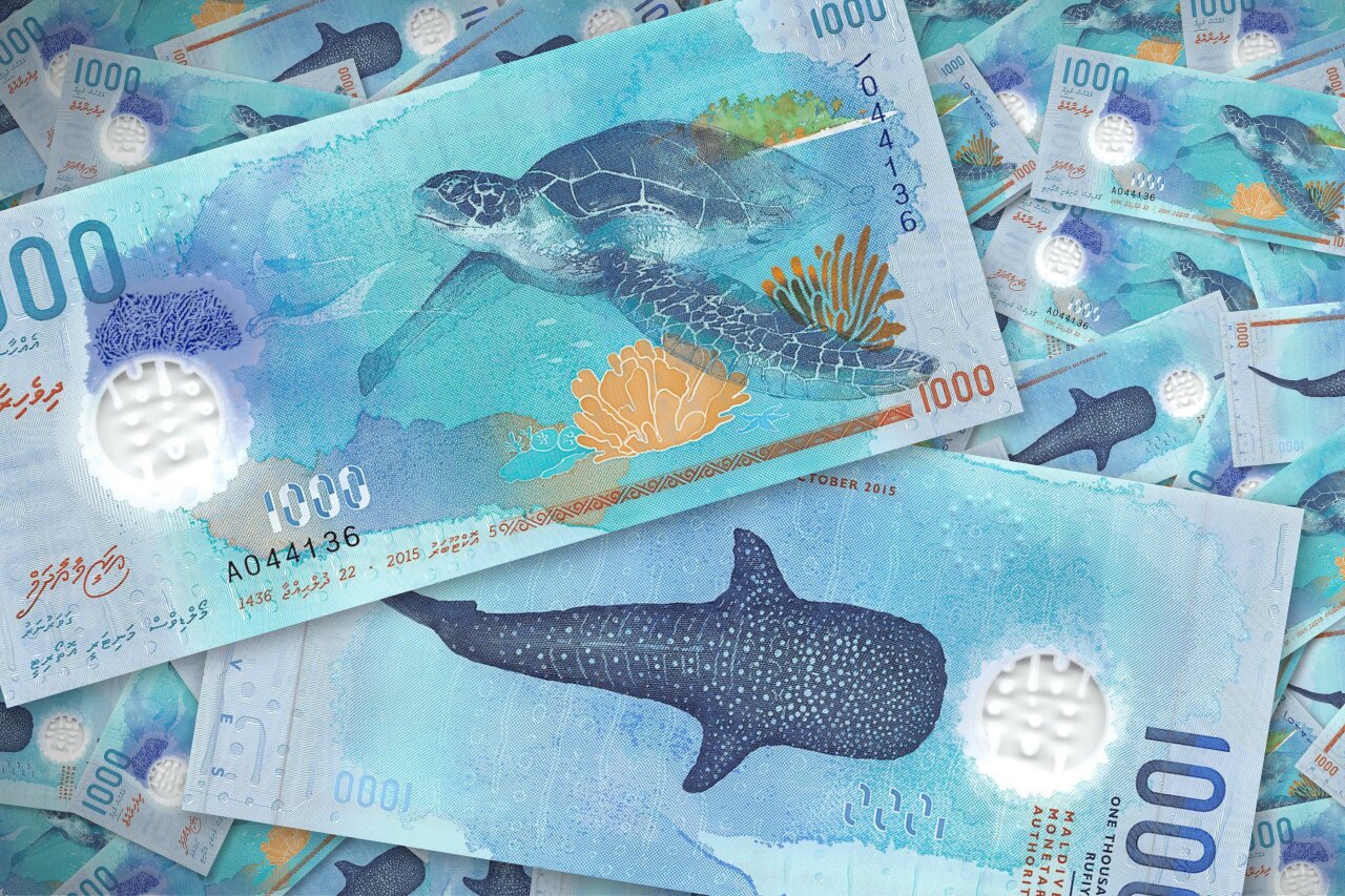Una collezione di banconote da 1000 Rufiyaa con bellissime illustrazioni di tartarughe marine e squali balena.
