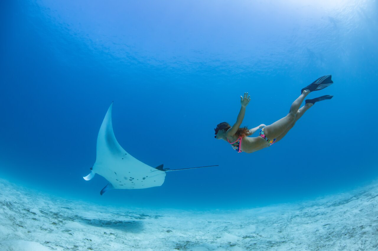 Una donna in bikini colorato fa snorkeling accanto a una graziosa manta nelle limpide acque oceaniche tropicali.