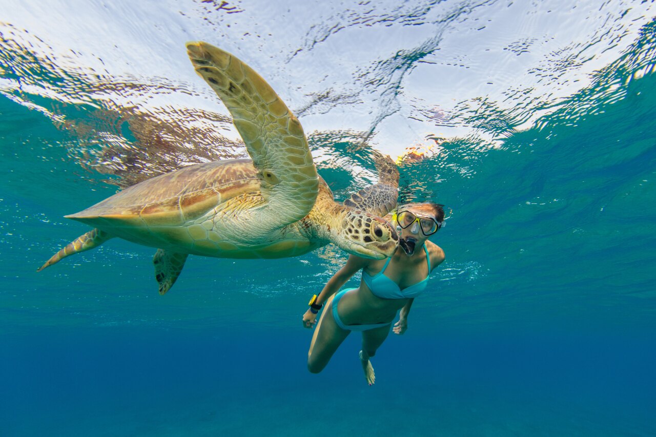 Una donna fa snorkeling sott'acqua e incontra una amichevole tartaruga marina che nuota con grazia nell'oceano blu.