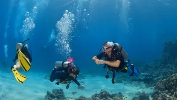 activity, reef, underwater - Scuba divers swimming underwater exploring the coral reef with bubbles rising in the deep blue ocean water.