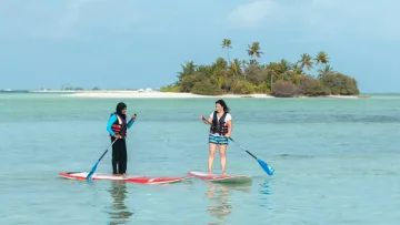 activity, sea - Due donne che remano sui loro sup nelle acque turchesi vicino a un'isola tropicale con palme durante una divertente sessione di SUP.