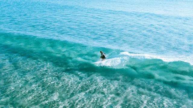 activity, sea - Aerial view of a person wearing a wetsuit riding a turquoise wave on a surfboard during a surfing lesson at sea.