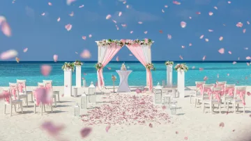 activity, luxury - Beautiful beach wedding ceremony setup on a local island in the Maldives with pink rose petals falling in the air.
