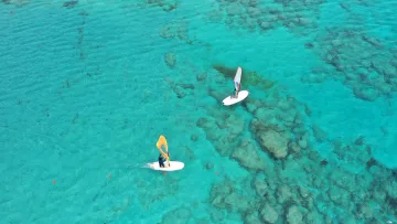 activity, drone-shot, sea - Vista aerea di due persone che praticano windsurf nelle acque turchesi cristalline delle lagune maldiviane