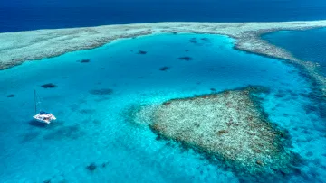 activity, drone-shot, reef, sea - Drone view of a white catamaran sailing in turquoise water next to a vibrant coral reef in the open ocean.