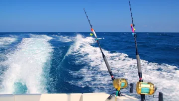 activity, sea - Two professional deep sea fishing rods with colorful lures trolled from a boat, trailing white wake over blue ocean