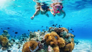activity, people, reef, snorkeling, underwater - A woman and young girl snorkeling in clear blue water, swimming above a vibrant coral reef filled with tropical fish.