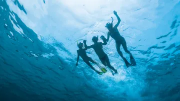 activity, people, snorkeling, underwater - A family of three holding hands while snorkeling underwater in the clear blue ocean with sunlight shining through.