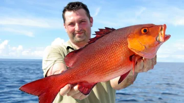 activity, people - A smiling man holding a large bright red snapper fish during a deep sea fishing excursion on a sunny day.