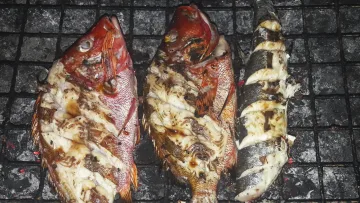 activity, food - Three fresh fish including snapper being grilled on a traditional charcoal barbecue grill during a local dinner.