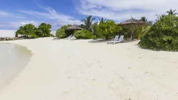 beach, bikini-beach, local-island, nature, relax - Spiaggia di sabbia bianca sull'isola di Bodufolhudhoo con lettini e ombrelloni di paglia sotto vegetazione tropicale.