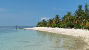 beach, bikini-beach, local-island, nature, sea - Scenic view of a tropical white sandy beach with coconut palms and people swimming at Dhiffushi local island.