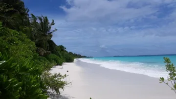 beach, local-island, nature - Picturesque view of the pristine white sandy shoreline and turquoise waters of Dhigurah local island in the Maldives.