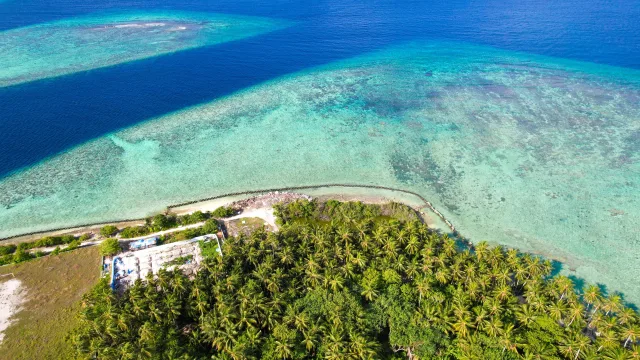 drone-shot, local-island, nature, reef - Stunning aerial drone view of the tropical Felidhoo island in Vaavu atoll, showing lush palm trees and coral reefs.