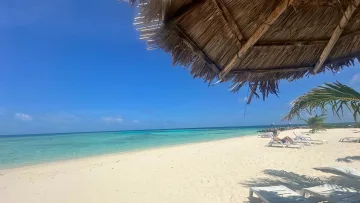 beach, local-island, relax, sea - A tourist relaxing on a lounge chair under a straw umbrella on the white sandy beach of Felidhoo Island, Vaavu Atoll.