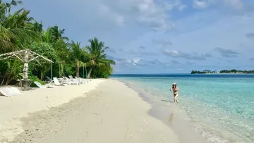 beach, bikini-beach, local-island, people - A woman in a bikini walking along the white sandy beach of Felidhoo Island in Vaavu Atoll with tropical palms.