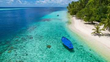 beach, drone-shot, local-island, nature, sea - Aerial view of a traditional blue boat in crystal clear turquoise water near the beach of Felidhoo Island, Vaavu Atoll.