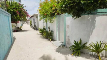 local-island - A quiet sandy street lined with white walls, lush bougainvillea, and tropical plants on Felidhoo Island, Vaavu Atoll.