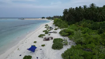 beach, bikini-beach, drone-shot, local-island, nature - Aerial view of the white sandy bikini beach on Fenfushi Island, Alifu Dhaalu Atoll, featuring lush palm trees and sunbeds.