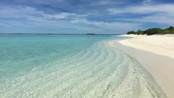 beach, local-island, sea - Crystal clear turquoise water meets the white sandy beach of Feridhoo island in the Alifu Alifu Atoll under a blue sky