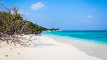 beach, local-island - A beautiful tropical white sandy beach with turquoise water in Feridhoo, a local island in Alifu Alifu Atoll, Maldives.
