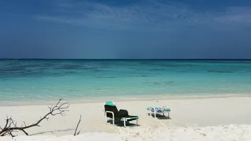 beach, bikini-beach, local-island, relax - Empty sun loungers on the pristine white sand beach of Feridhoo Island in the Alifu Alifu Atoll with turquoise sea
