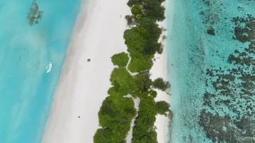 beach, bikini-beach, drone-shot, local-island, nature, sea - Stunning drone view of the white sand beach and turquoise lagoon on Fulhadhoo local island in the Baa Atoll region