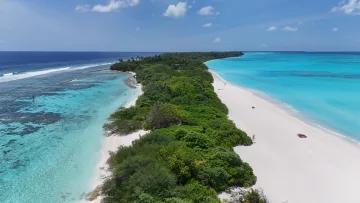 beach, bikini-beach, drone-shot, local-island, nature - Aerial drone perspective showing the lush tropical coastline and white sand beach of local island Fulhadhoo, Baa Atoll