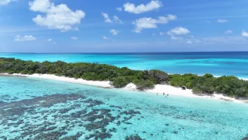 beach, bikini-beach, drone-shot, local-island, nature, reef, sea - Aerial drone shot of the pristine beach and coral reef on Fulhadhoo Island in the beautiful Baa Atoll, Maldives.
