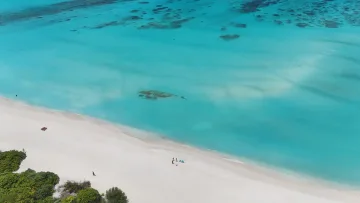 beach, bikini-beach, drone-shot, local-island, sea - Aerial view of the pristine white sandy beach of Fulhadhoo island in Baa Atoll, with turquoise lagoon and coral reef.