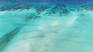 drone-shot, local-island, reef, sea - Aerial drone shot of the crystal clear turquoise water and coral reef around the local island of Fulhadhoo, Baa Atoll.