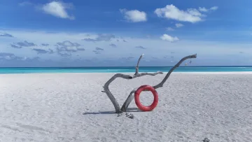 beach, bikini-beach, local-island, nature - A bright red lifebuoy leaning against a piece of driftwood on the white sandy beach of Fulhadhoo island, Baa Atoll