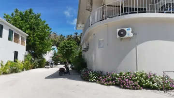 local-island - A sandy street with white guesthouse buildings, flowering shrubs, and a scooter on Fulhadhoo island, Baa Atoll.