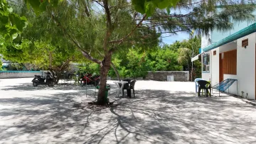 local-island, nature - Relaxing shaded seating area under trees at a local house on Fulhadhoo Island, Baa Atoll, with motorcycles nearby.