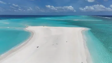 beach, bikini-beach, drone-shot, local-island, nature, sea - Aerial view of a pristine white sandbank surrounded by turquoise lagoons in Fulhadhoo island, Baa Atoll, Maldives.