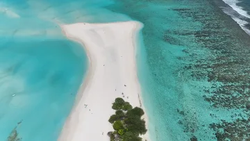 beach, drone-shot, local-island, nature, reef, sea - A beautiful white sandbank at Fulhadhoo island in Baa Atoll seen from a drone, with turquoise lagoon and reef