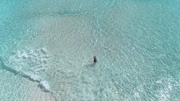 drone-shot, local-island, nature, relax, sea - Aerial view of a person standing in the crystal clear turquoise water of Fulhadhoo Island, Baa Atoll, Maldives.