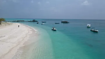 beach, drone-shot, local-island, sea - Aerial view of a turquoise beach, wooden jetty, and anchored boats at the local island of Fulidhoo in Vaavu Atoll.