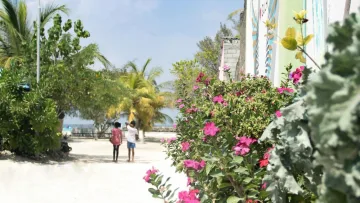 local-island, nature, people - Children walking down a sandy street lined with colorful flowers and palm trees in Gulhi island, Kaafu atoll.