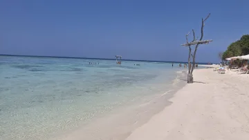beach, bikini-beach, local-island - Acqua turchese cristallina nella bikini beach dell'isola locale di Hangnaameedhoo nell'atollo di Alifu Dhaalu.