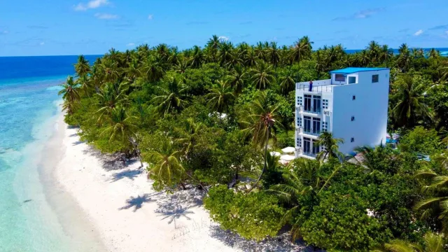 drone-shot, local-island, nature - Veduta aerea di una moderna guesthouse bianca immersa tra le palme sulla spiaggia di Hangnaameedhoo, atollo Alifu Dhaalu