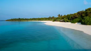 Scenic view of a pristine white beach on Hanimaadhoo local island in Haa Dhaalu Atoll, Maldives with lush green trees.