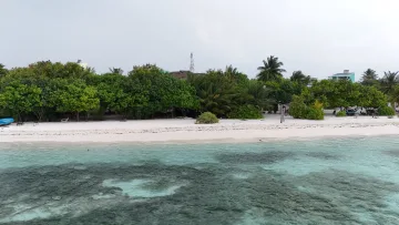 beach, drone-shot, local-island, nature - Aerial view of the white sandy beach and lush green palm trees on the local island of Hinmafushi in the Kaafu Atoll.
