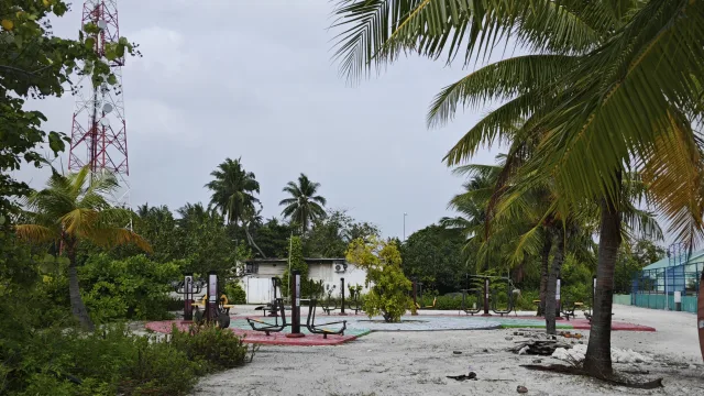 facilities, local-island - Outdoor gym equipment located on a sandy area in Hinmafushi island, North Male Atoll, surrounded by palm trees.